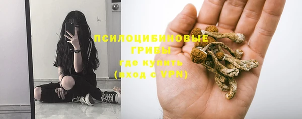 mdpv Кулебаки