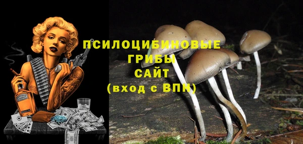 гидра Лагань