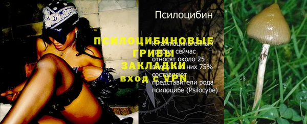 гидра Лагань