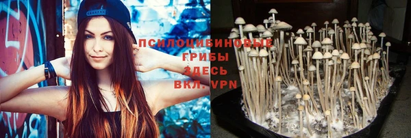экстази Кукмор