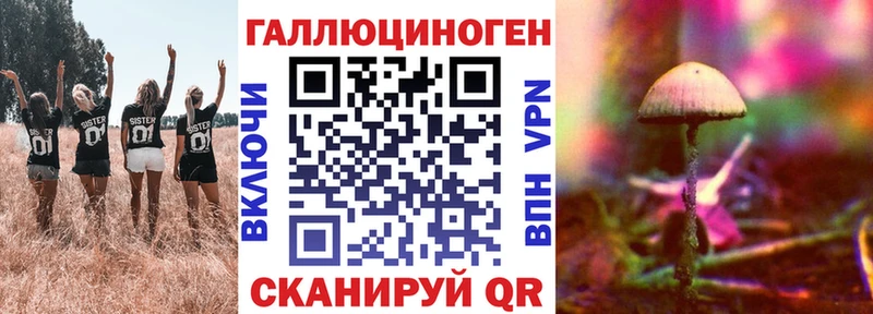 Галлюциногенные грибы мицелий  Купить где  Ейск 