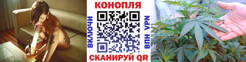 Бошки Шишки семена  Купить  Ейск 